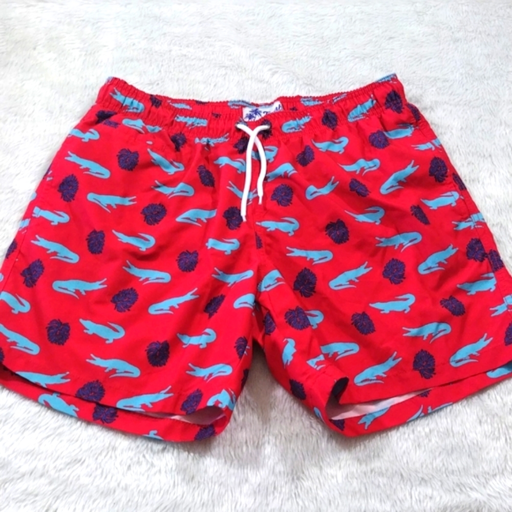 Trunks Men's Swim Shorts